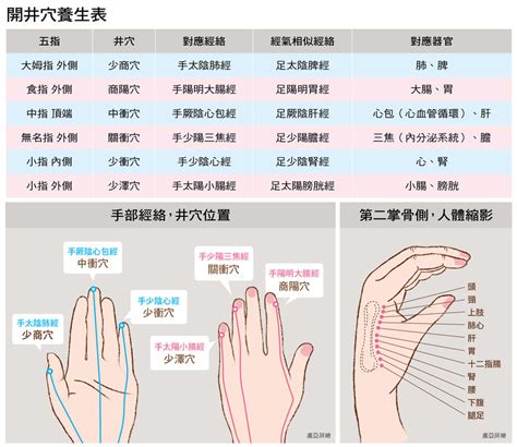 手指對應五臟|保養五臟六腑！ 手掌穴位一次搞定